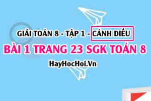 Giải bài 1 trang 23 Toán 8 Tập 1 SGK Cánh Diều